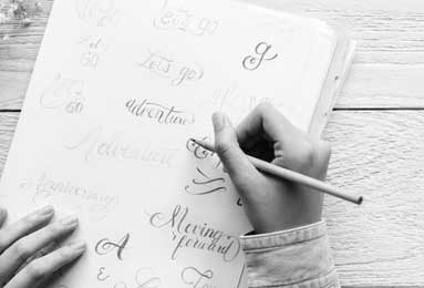 森林狂想曲音乐(森林狂想曲音乐欣赏)