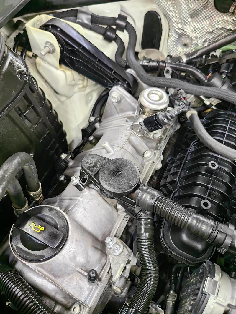 为什么中国不让用v6发动机(为什么都喜欢v6发动机)