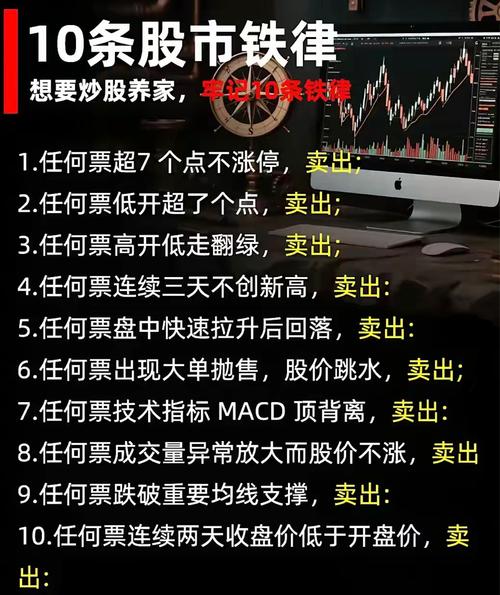 家在深圳论坛／家在深圳业主论坛一财经股票