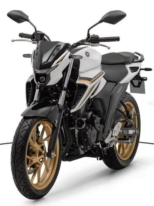 雅马哈双缸250价格 雅马哈双缸mt250价格