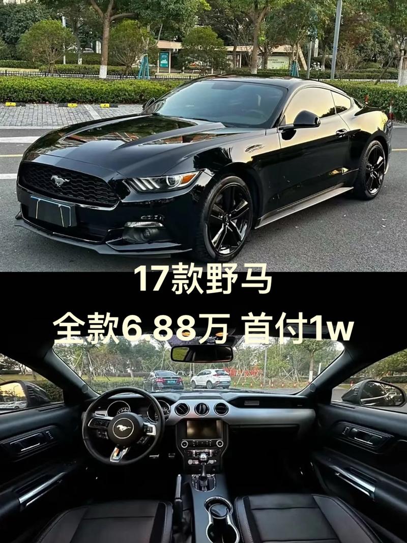 野马价格表／野马价格多少钱一辆